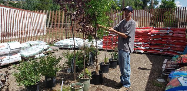 Family Nursery in Walsenburg and Huerfano County