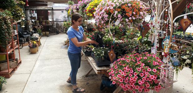 Family Nursery in Walsenburg and Huerfano County