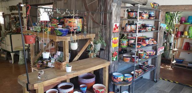 Indoor Plants in Walsenburg and Huerfano County