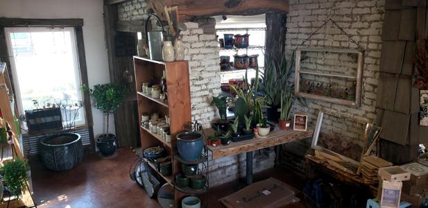 Indoor Plants in Walsenburg and Huerfano County