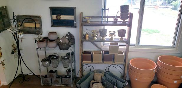 Indoor Plants in Walsenburg and Huerfano County