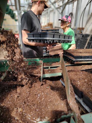 Planting Process by Huerfano Nursery & Garden