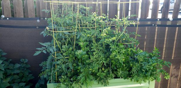 Garden Supplies & Tools in Walsenburg and Huerfano County